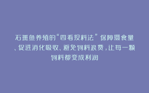 石斑鱼养殖的“四看投料法”！保障摄食量、促进消化吸收、避免饲料浪费，让每一颗饲料都变成利润！