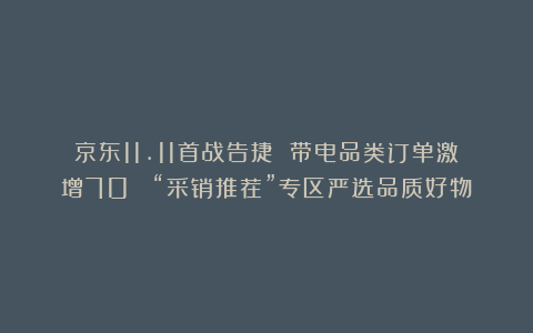 京东11.11首战告捷 带电品类订单激增70% “采销推荐”专区严选品质好物