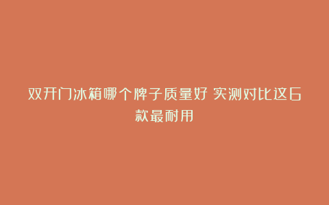 双开门冰箱哪个牌子质量好？实测对比这6款最耐用！