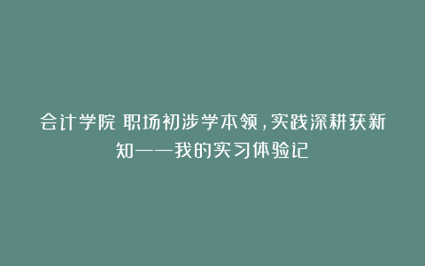 会计学院丨职场初涉学本领，实践深耕获新知——我的实习体验记⑥