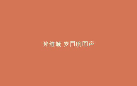 孙维城|岁月的回声