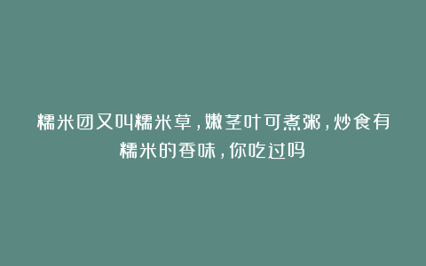 糯米团又叫糯米草，嫩茎叶可煮粥，炒食有糯米的香味，你吃过吗？