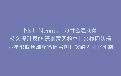 Nat Neurosci：为什么运动能持久提升技能？深圳湾实验室甘文标团队揭示星形胶质细胞钙信号防止突触去强化机制