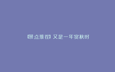 【景点推荐】又是一年赏秋时