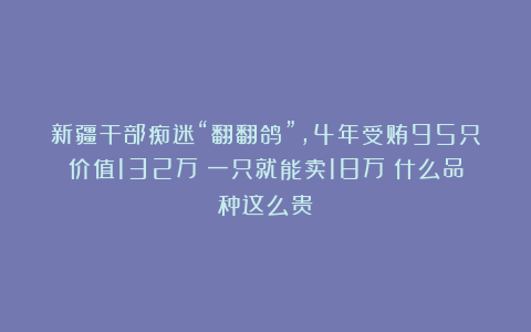 新疆干部痴迷“翻翻鸽”，4年受贿95只价值132万！一只就能卖18万！什么品种这么贵？