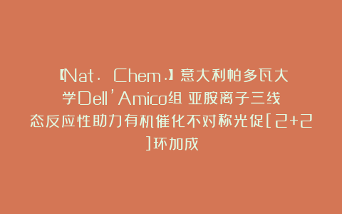 【Nat. Chem.】意大利帕多瓦大学Dell’Amico组：亚胺离子三线态反应性助力有机催化不对称光促[2+2]环加成