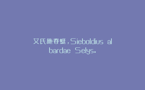 艾氏施春蜓，Sieboldius albardae Selys。