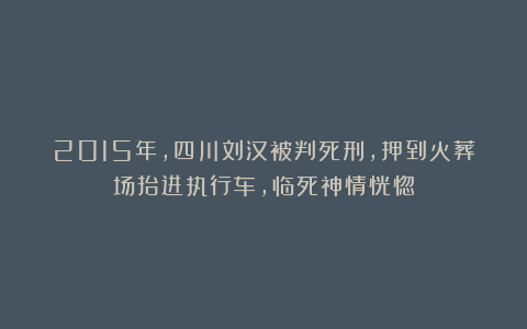 2015年，四川刘汉被判死刑，押到火葬场抬进执行车，临死神情恍惚