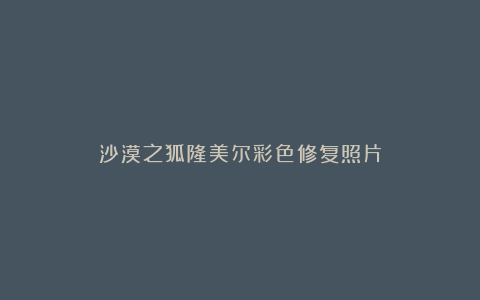 沙漠之狐隆美尔彩色修复照片