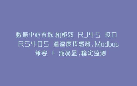 数据中心首选!机柜双 RJ45 接口 RS485 温湿度传感器,Modbus 兼容 + 液晶显,稳定监测