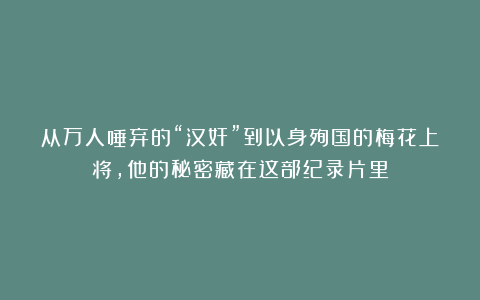 从万人唾弃的“汉奸”到以身殉国的梅花上将，他的秘密藏在这部纪录片里