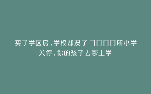 买了学区房,学校却没了:7000所小学关停,你的孩子去哪上学?