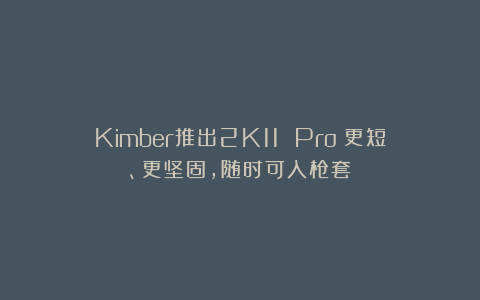 Kimber推出2K11 Pro：更短、更坚固，随时可入枪套