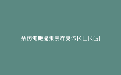 杀伤细胞凝集素样受体KLRG1