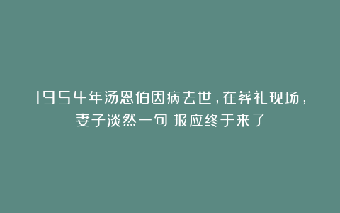 1954年汤恩伯因病去世,在葬礼现场,妻子淡然一句:报应终于来了