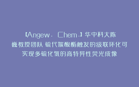 【Angew. Chem.】华中科大陈巍教授团队:硫代羰酸酯触发的级联环化可实现多硫化氢的高特异性荧光成像