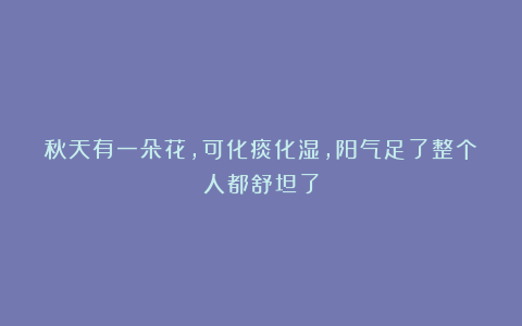 秋天有一朵花，可化痰化湿，阳气足了整个人都舒坦了