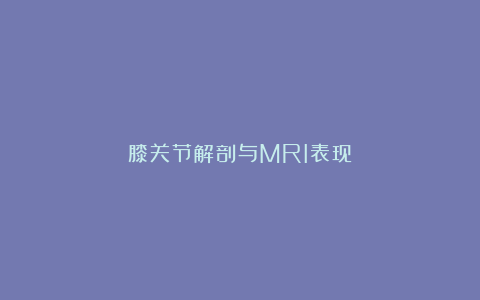 膝关节解剖与MRI表现