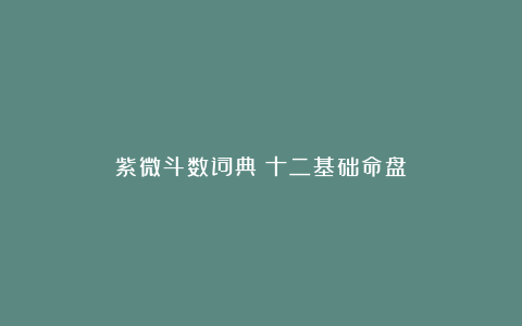 紫微斗数词典：十二基础命盘