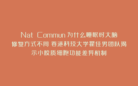 Nat Commun：为什么睡眠时大脑修复方式不同？香港科技大学瞿佳男团队揭示小胶质细胞功能差异机制​