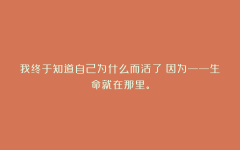 我终于知道自己为什么而活了?因为——生命就在那里。