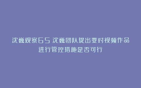 沈巍观察65：沈巍团队提出要对视频作品进行管控措施是否可行？