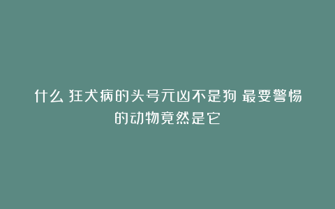什么？狂犬病的头号元凶不是狗？最要警惕的动物竟然是它→