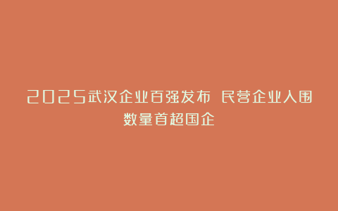 2025武汉企业百强发布 民营企业入围数量首超国企