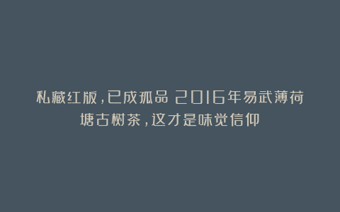 私藏红版，已成孤品：2016年易武薄荷塘古树茶，这才是味觉信仰！