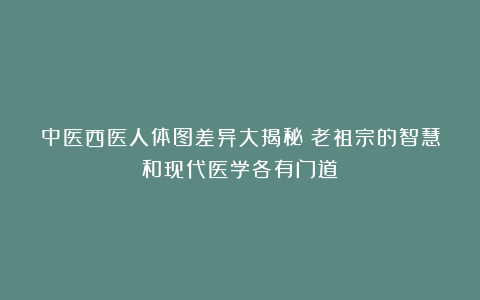 中医西医人体图差异大揭秘!老祖宗的智慧和现代医学各有门道
