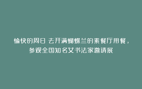 愉快的周日:去开满蝴蝶兰的素餐厅用餐,参观全国知名女书法家邀请展
