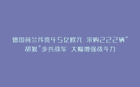 德国荷兰斥资45亿欧元 采购222辆“胡狼”步兵战车 大幅增强战斗力