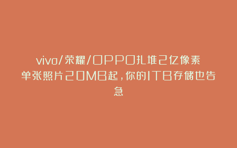 vivo/荣耀/OPPO扎堆2亿像素:单张照片20MB起,你的1TB存储也告急?