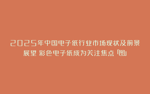 2025年中国电子纸行业市场现状及前景展望：彩色电子纸成为关注焦点「图」