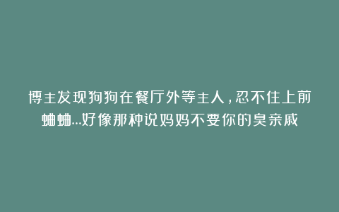 博主发现狗狗在餐厅外等主人，忍不住上前蛐蛐…好像那种说妈妈不要你的臭亲戚