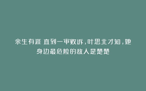 余生有涯:直到一审败诉,叶思北才知,她身边最危险的敌人是楚楚