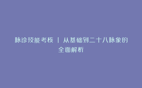 脉诊技能考核 I 从基础到二十八脉象的全面解析