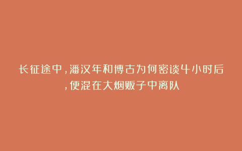 长征途中，潘汉年和博古为何密谈4小时后，便混在大烟贩子中离队