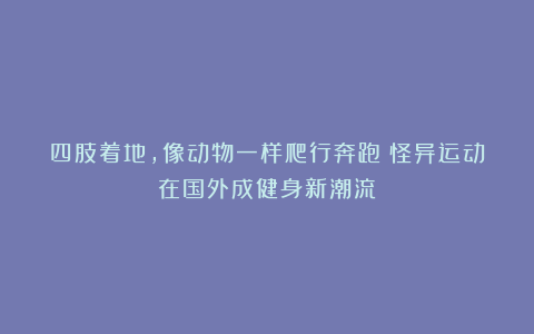 四肢着地,像动物一样爬行奔跑!怪异运动在国外成健身新潮流