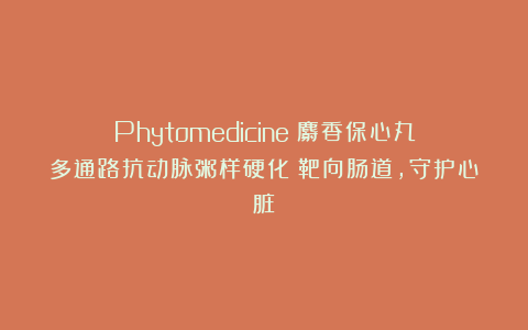 Phytomedicine|麝香保心丸多通路抗动脉粥样硬化:靶向肠道,守护心脏!