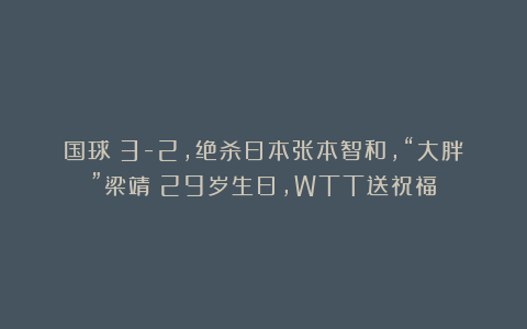 国球|3-2,绝杀日本张本智和,“大胖”梁靖崑29岁生日,WTT送祝福