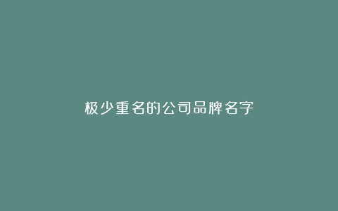极少重名的公司品牌名字‼