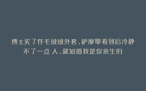 博主买了件毛绒绒外套,萨摩耶看到后冷静不了一点:人,就知道我是你亲生的!