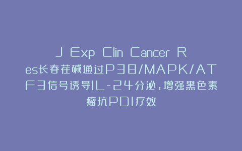 J Exp Clin Cancer Res长春荏碱通过P38/MAPK/ATF3信号诱导IL-24分泌，增强黑色素瘤抗PD1疗效