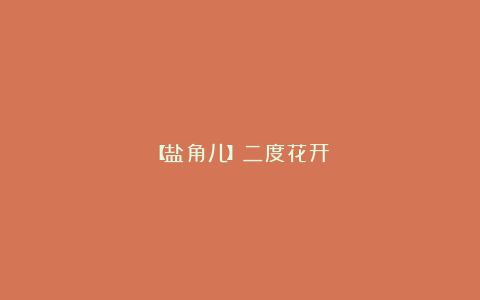 【盐角儿】二度花开