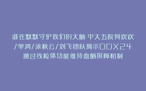 谁在默默守护我们的大脑？中大五院何欢欢/单鸿/涂秋云/刘飞团队揭示DDX24通过线粒体功能维持血脑屏障机制​