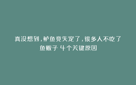真没想到，鲈鱼竟失宠了，很多人不吃了！鱼贩子：4个关键原因