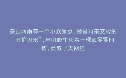 泰山西南有一个小众景点，被誉为泰安版的“呼伦贝尔”，半山腰生长着一棵孤零零的树，竟成了大网红