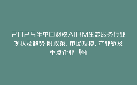 2025年中国财税AIBM生态服务行业现状及趋势（附政策、市场规模、产业链及重点企业）「图」