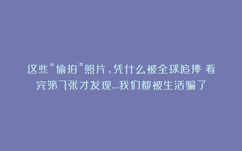 这些“偷拍”照片，凭什么被全球追捧？看完第7张才发现…我们都被生活骗了